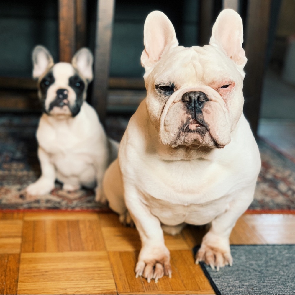 Meet your Posher, Leah